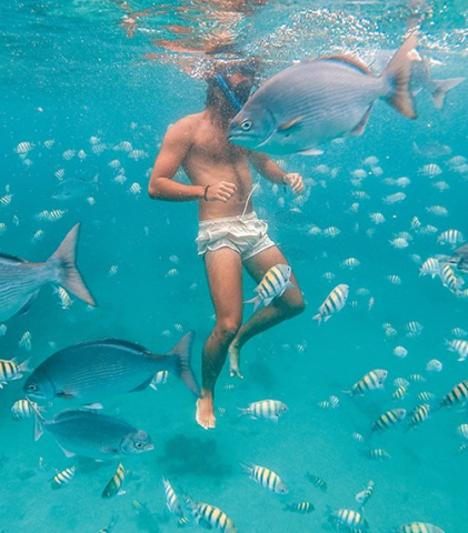 This image captures an underwater scene featuring a person swimming among various fish