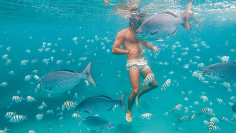This image captures an underwater scene where a person is swimming among various fish in a clear, turquoise water body