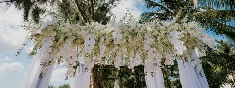 This image features a beautifully decorated floral archway, likely set up for a wedding or a similar celebration