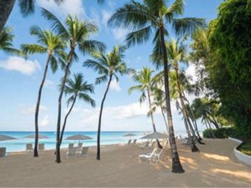 The image depicts a picturesque tropical beach scene