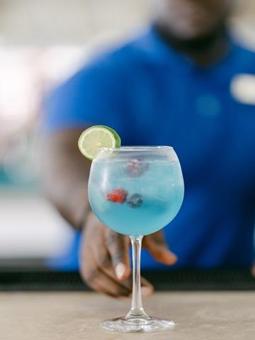This image features a refreshing-looking cocktail in a glass
