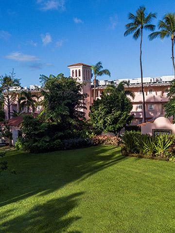 The image shows a lush, tropical landscape featuring a neatly manicured green lawn in the foreground with several tall palm trees reaching towards a clear blue sky