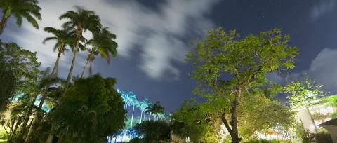 This image features a scenic night view under a starry sky