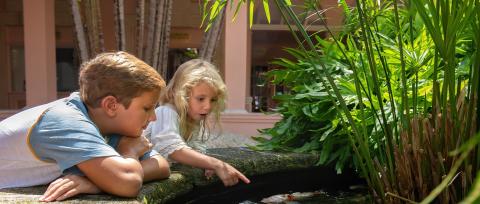 The image depicts two children observing a water feature, likely a small pond or fountain