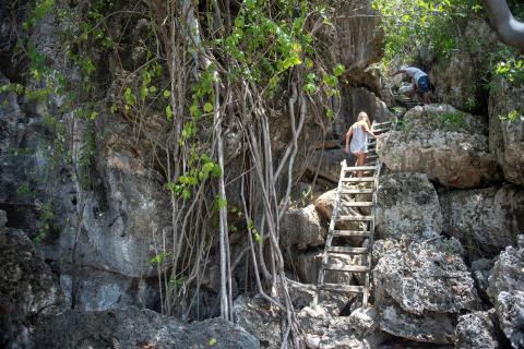 This image depicts a rugged and rocky nature scene with a wooden ladder set against a steep cliff surrounded by dense vegetation