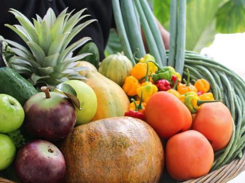 In the image, there is a vibrant assortment of fresh fruits and vegetables