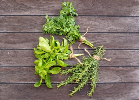 The image displays a collection of fresh herbs laid out on a dark wooden surface