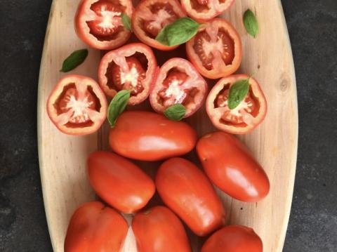 Tomato Basil
