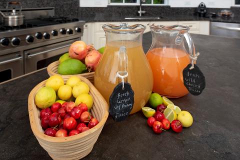 This image shows a kitchen counter featuring various fresh fruits and two pitchers of juice