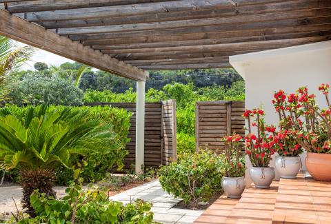 The image depicts a serene garden patio setting