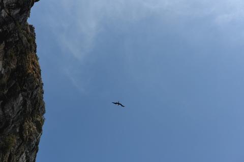 The image features a broad expanse of clear blue sky with a few wispy clouds