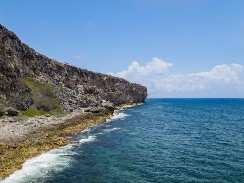 The image shows a stunning coastal scene with a rocky cliff overlooking a vibrant blue sea