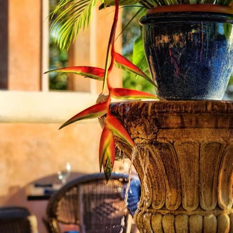 The image features a beautifully detailed scene centered around a classical stone pedestal, topped with a vibrant blue ceramic pot