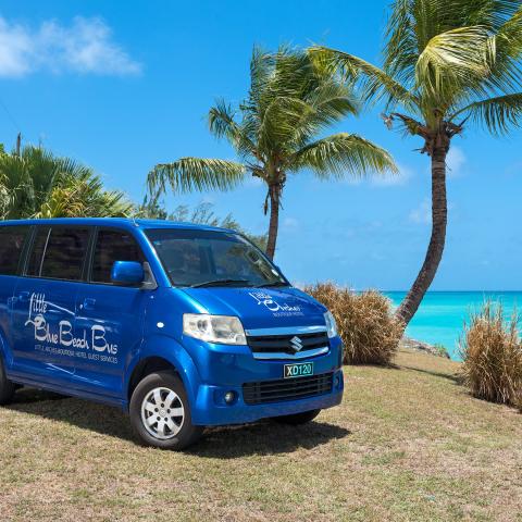 This image features a bright blue van parked on a grassy area near a beach