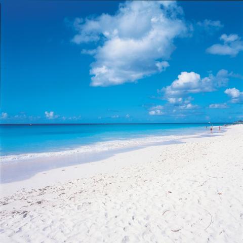This image features a serene tropical beach landscape