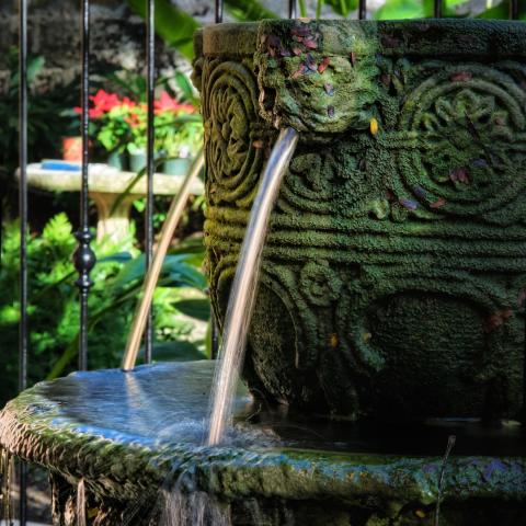 This image captures a detailed and ornate stone fountain, covered with moss and decorated with intricate floral and circular patterns