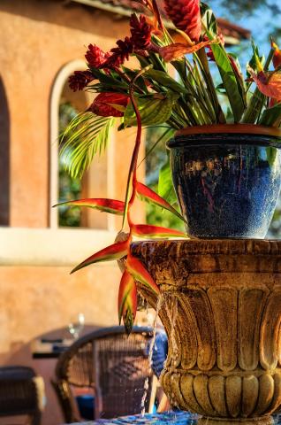 This image features a beautifully ornate garden setting