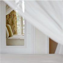 This image features an indoor setting that appears to be part of a home