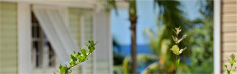 The image features a tranquil tropical scene showcasing a mix of natural and architectural elements
