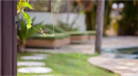 This image features a serene backyard setting