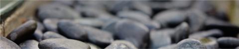 The image features a close-up view of numerous smooth, round stones or pebbles