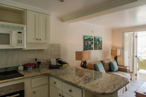 This image features a well-appointed interior space that includes both a kitchenette and a living area