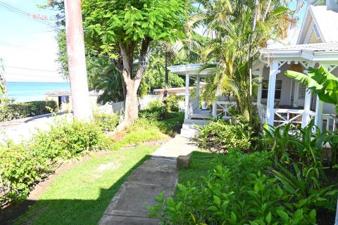 This image features a lush garden pathway leading through a waterfront property with tropical flora