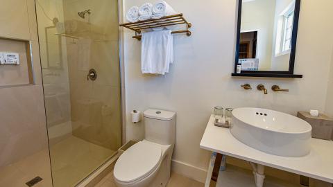 This image shows a modern and well-appointed bathroom
