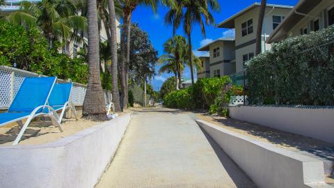This image shows a sunny tropical pathway surrounded by various elements that evoke a relaxed, vacation-like setting
