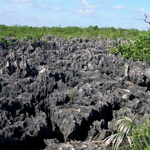 This image shows a fascinating geological formation known as a karst landscape