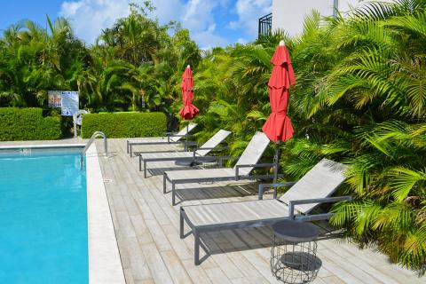 This image shows a sunlit outdoor pool area surrounded by lush greenery