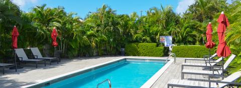 The image shows an outdoor pool area surrounded by lush greenery, primarily palm trees