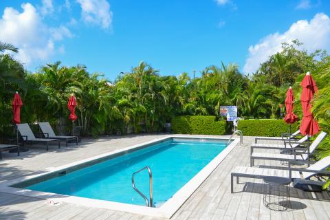This image features an enticing outdoor swimming pool area surrounded by lush greenery