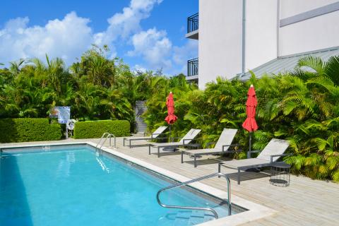 This image shows an outdoor swimming pool area surrounded by lush greenery and tropical plants