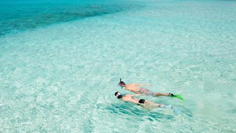 This image shows two individuals snorkeling in clear, turquoise waters