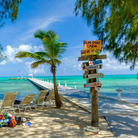 This image captures a vibrant and picturesque beach scene