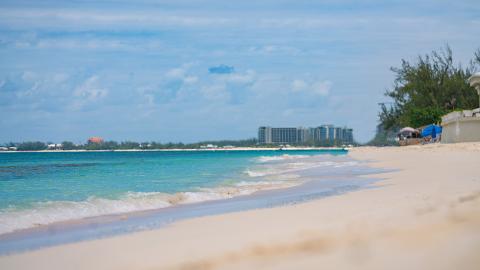 This image features a beautiful beach scene