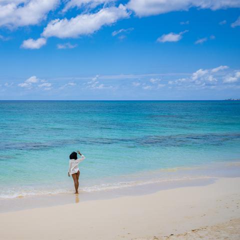 The image depicts a beautiful beach scene with clear skies and a serene ocean