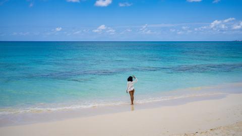 The image shows a beautiful beach scene with a clear sky and vibrant blue ocean