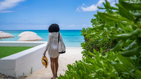 This image features a tranquil beach setting with a clear view of the ocean