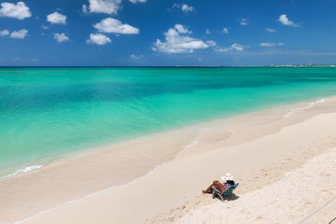 This image shows a beautiful tropical beach setting