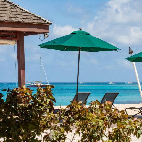 This image features a scenic beach view