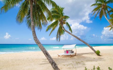 This image features a serene tropical beach scene