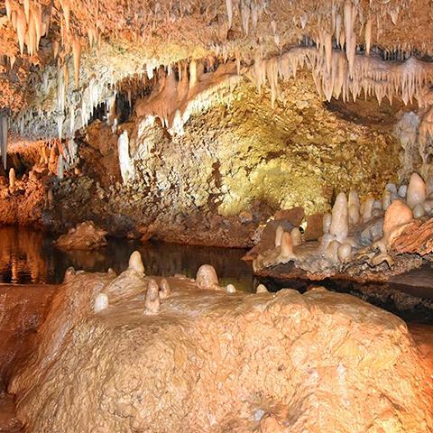 This image shows the interior of a cave, featuring various speleothems, which are cave formations created by the deposition of minerals by water