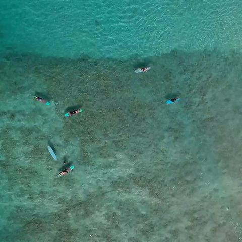 This image shows several people snorkeling in clear blue waters above a coral reef