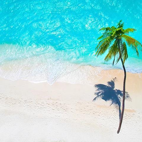The image displays a beautiful aerial view of a tropical beach scene