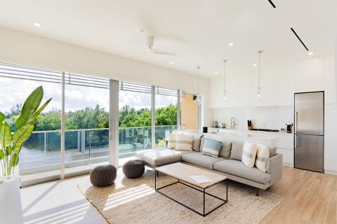 This image shows a modern and bright interior of an apartment or house which features a seamlessly integrated living and kitchen space