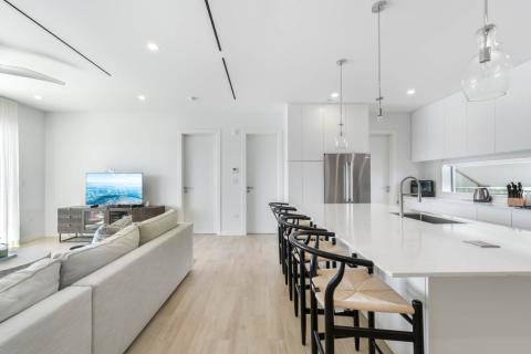 Minimalist kitchen and living room with gray sofa
