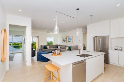 This image shows a modern, open-plan kitchen and living room