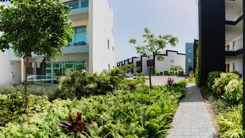 Modern residential area with mixed architecture and lush landscaping